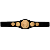 AAA MEGA CHAMP TOY TITLE