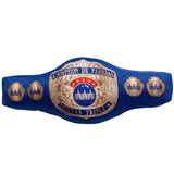 COJÍN CAMPEONATO MIXTO PAREJAS AAA AZUL