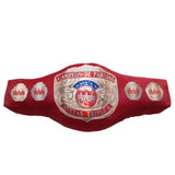 COJÍN CAMPEONATO MIXTO PAREJAS AAA ROJO