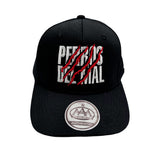 GORRA PERROS DEL MAL